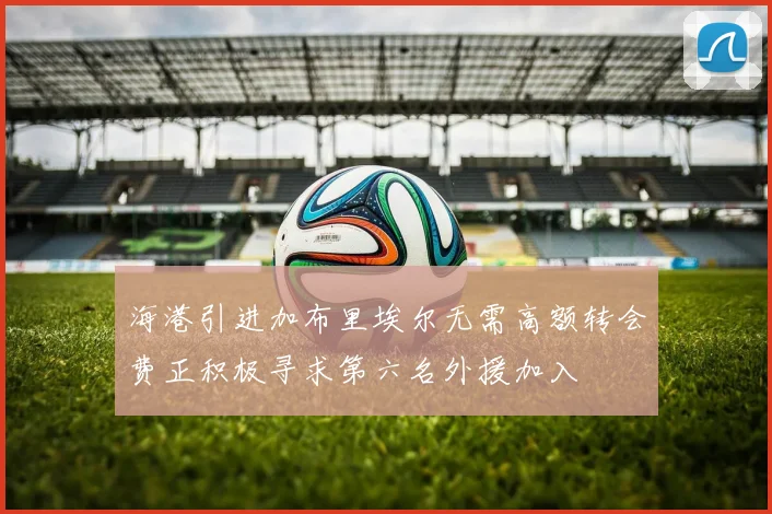 海港引进加布里埃尔无需高额转会费正积极寻求第六名外援加入