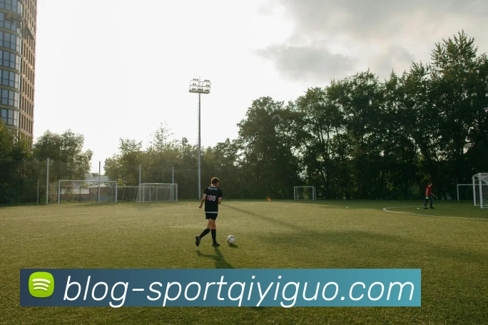 奇异果体育平台生态图